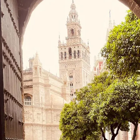 Libertad B
